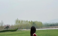 拜托小姐国语版全集